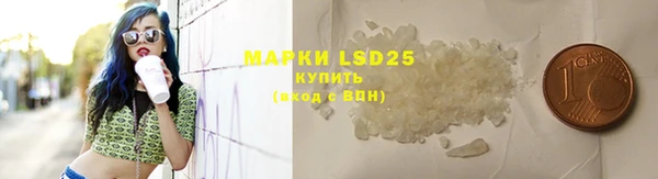 крисы Гусев