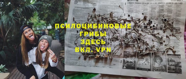 мяу мяу кристалл Гусь-Хрустальный