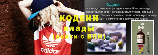мяу мяу кристалл Гусь-Хрустальный