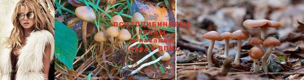 мяу мяу кристалл Гусь-Хрустальный